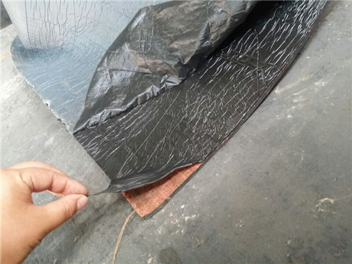 SR���z���B���o(h��)�wƬ